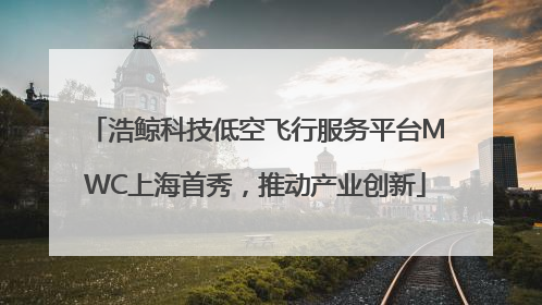 浩鲸科技低空飞行服务平台MWC上海首秀，推动产业创新
