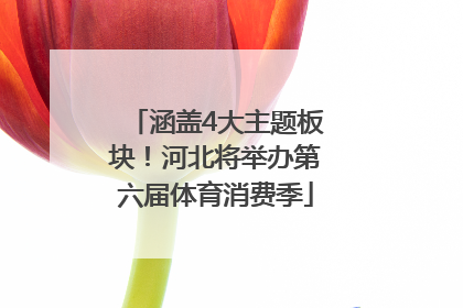 涵盖4大主题板块！河北将举办第六届体育消费季