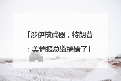 涉伊核武器，特朗普：美情报总监搞错了