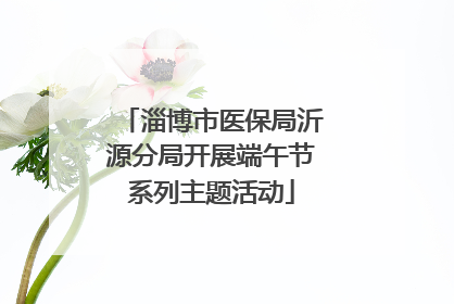淄博市医保局沂源分局开展端午节系列主题活动