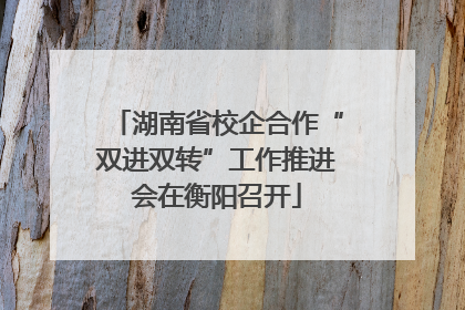 湖南省校企合作“双进双转”工作推进会在衡阳召开
