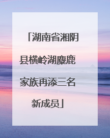 湖南省湘阴县横岭湖麋鹿家族再添三名新成员