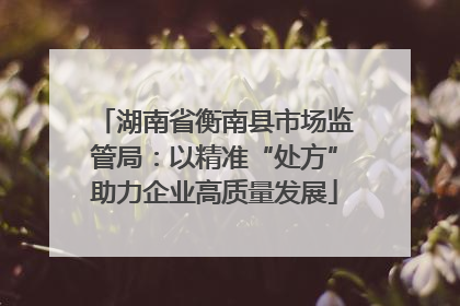 湖南省衡南县市场监管局：以精准“处方”助力企业高质量发展