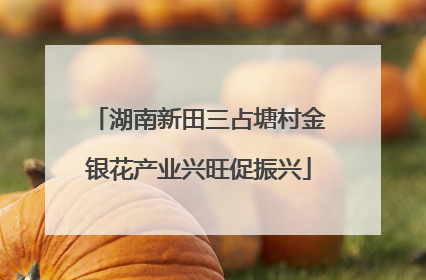 湖南新田三占塘村金银花产业兴旺促振兴