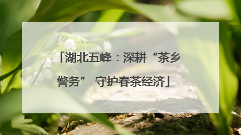 湖北五峰：深耕“茶乡警务” 守护春茶经济
