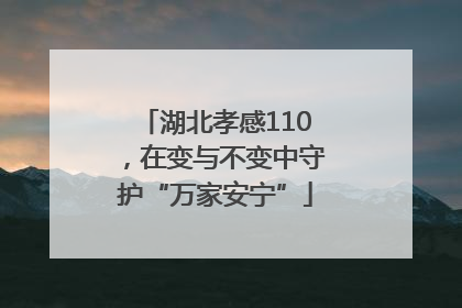 湖北孝感110，在变与不变中守护“万家安宁”