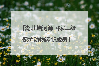 湖北堵河源国家二级保护动物添新成员