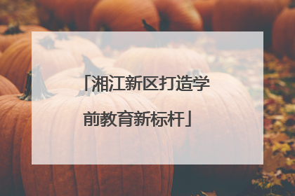 湘江新区打造学前教育新标杆