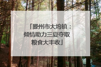 滕州市大坞镇：倾情助力三夏夺取粮食大丰收