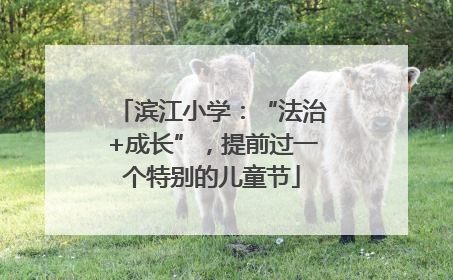 滨江小学：“法治+成长”，提前过一个特别的儿童节