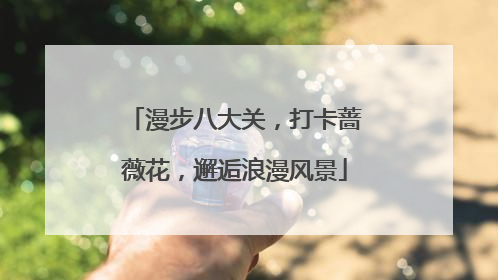 漫步八大关,打卡蔷薇花,邂逅浪漫风景
