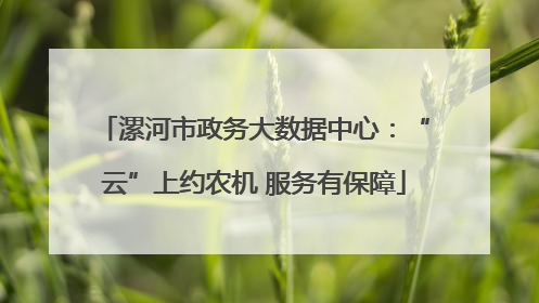 漯河市政务大数据中心：“云”上约农机 服务有保障
