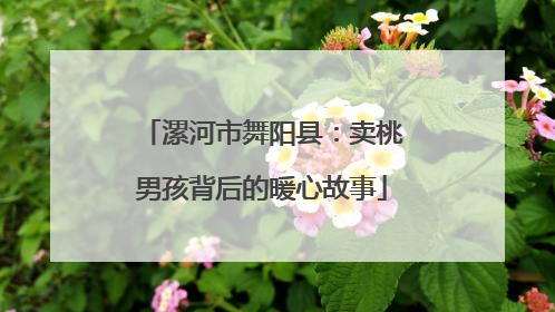 漯河市舞阳县：卖桃男孩背后的暖心故事