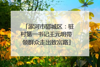 漯河市郾城区：驻村第一书记王元明带领群众走出致富路