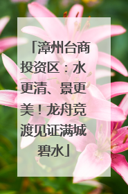 漳州台商投资区：水更清、景更美！龙舟竞渡见证满城碧水
