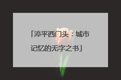 漳平西门头：城市记忆的无字之书