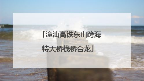 漳汕高铁东山跨海特大桥栈桥合龙