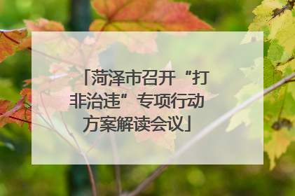 菏泽市召开“打非治违”专项行动方案解读会议
