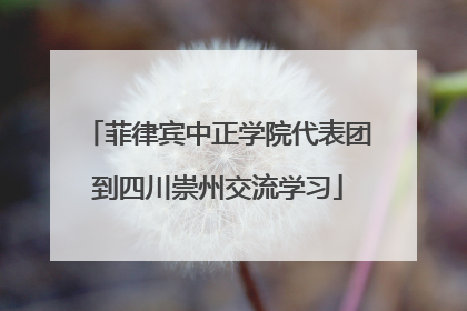 菲律宾中正学院代表团到四川崇州交流学习