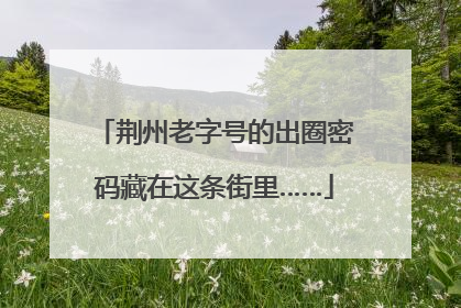 荆州老字号的出圈密码藏在这条街里……