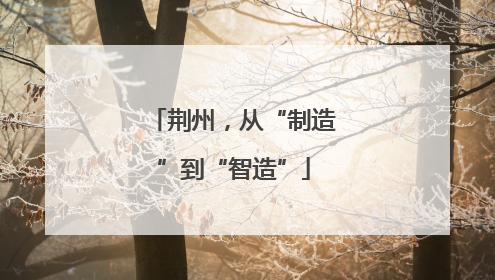 荆州，从“制造”到“智造”