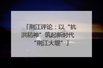 荆江评论：以“抗洪精神”筑起新时代“荆江大堤”
