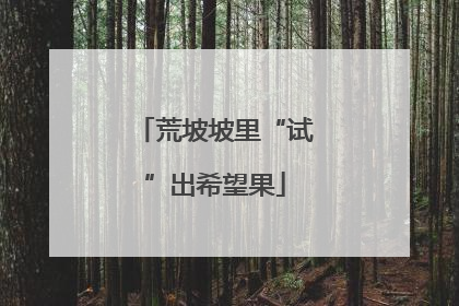 荒坡坡里“试”出希望果