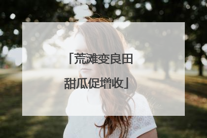 荒滩变良田 甜瓜促增收