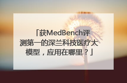 获MedBench评测第一的深兰科技医疗大模型，应用在哪里？