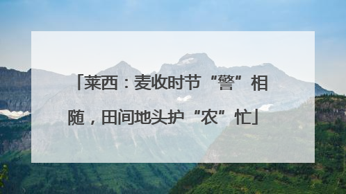莱西：麦收时节“警”相随，田间地头护“农”忙