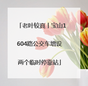 老叶较真丨宝山1604路公交车增设两个临时停靠站