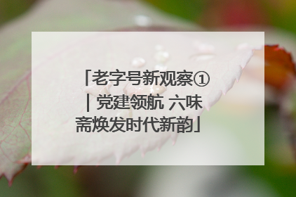 老字号新观察①｜党建领航 六味斋焕发时代新韵