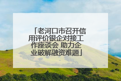 老河口市召开信用评价银企对接工作座谈会 助力企业破解融资难题