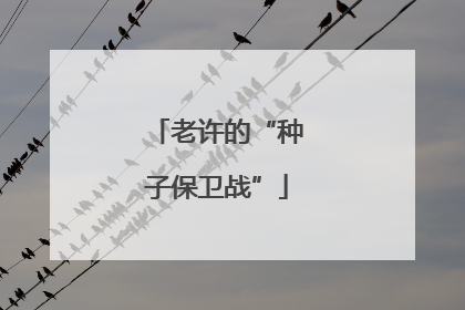 老许的“种子保卫战”