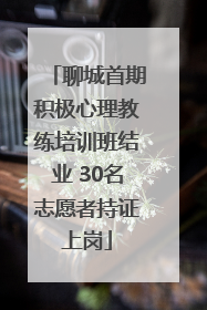 聊城首期积极心理教练培训班结业 30名志愿者持证上岗