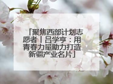 聚焦西部计划志愿者丨吕学亨：用青春力量助力打造新疆产业名片