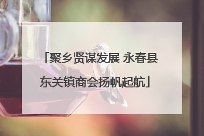 聚乡贤谋发展 永春县东关镇商会扬帆起航