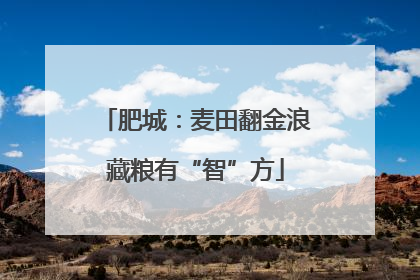 肥城：麦田翻金浪藏粮有“智”方