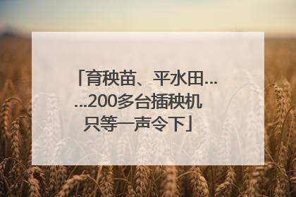 育秧苗、平水田……200多台插秧机只等一声令下