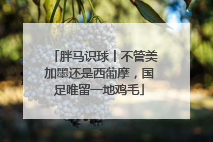 胖马识球丨不管美加墨还是西葡摩，国足唯留一地鸡毛