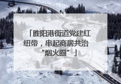 胜阳港街道党建红纽带，串起商居共治 “烟火圈”