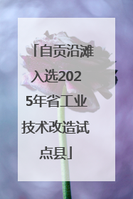 自贡沿滩入选2025年省工业技术改造试点县