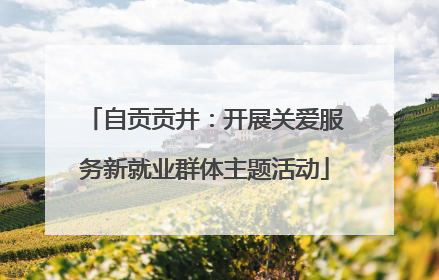 自贡贡井：开展关爱服务新就业群体主题活动
