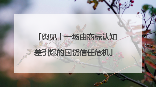 舆见丨一场由商标认知差引爆的国货信任危机