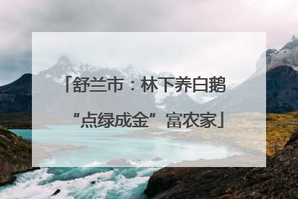 舒兰市：林下养白鹅 “点绿成金”富农家