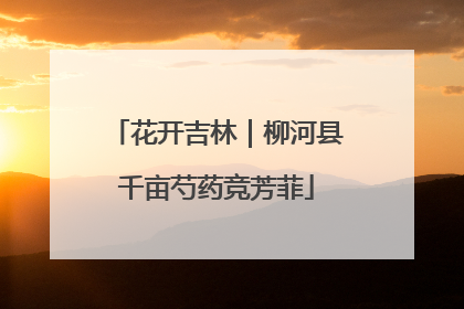 花开吉林｜柳河县千亩芍药竞芳菲