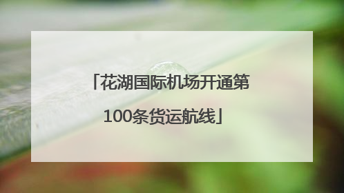花湖国际机场开通第100条货运航线