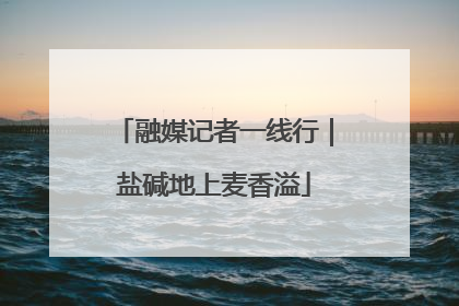 融媒记者一线行｜盐碱地上麦香溢