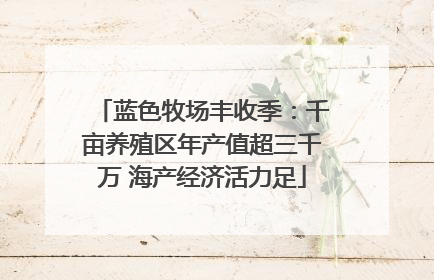 蓝色牧场丰收季：千亩养殖区年产值超三千万 海产经济活力足
