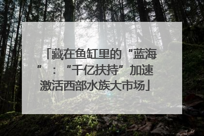 藏在鱼缸里的“蓝海”：“千亿扶持”加速激活西部水族大市场